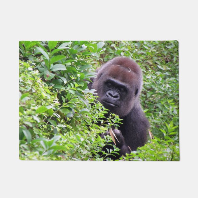 ピーカーブ式ゴリラの玄関マット ドアマット (正面)