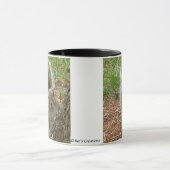 ピーカーブ式リス マグカップ (中央)