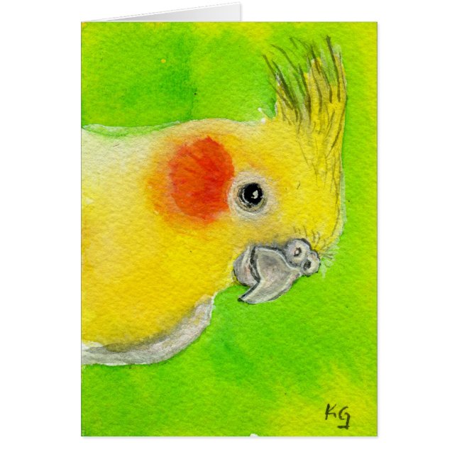 ピーカーブ式Cockatiel (正面)