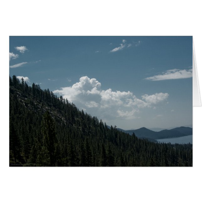 ピーキングカード (正面横)