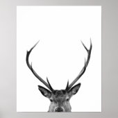 ピーキングディアスタグ白黒キャビンスタイル モダン ポスター (正面)