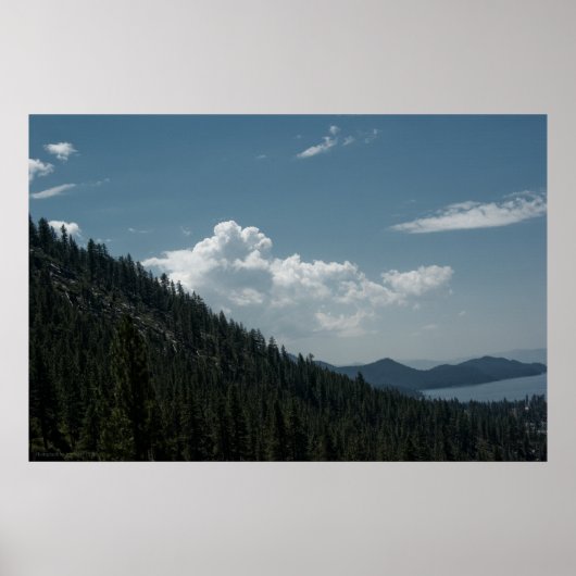 ピーキングプリント ポスター (正面)