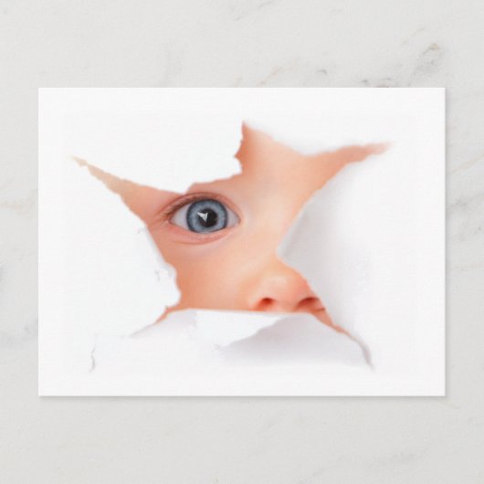 ピーキングベビーセイユー ポストカード (正面)