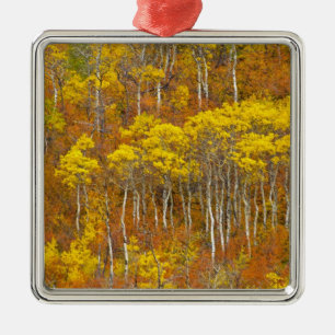 ピークの紅葉色のポプラの林 メタルオーナメント