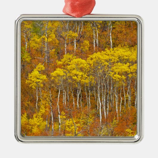 ピークの紅葉色のポプラの林 メタルオーナメント (正面)