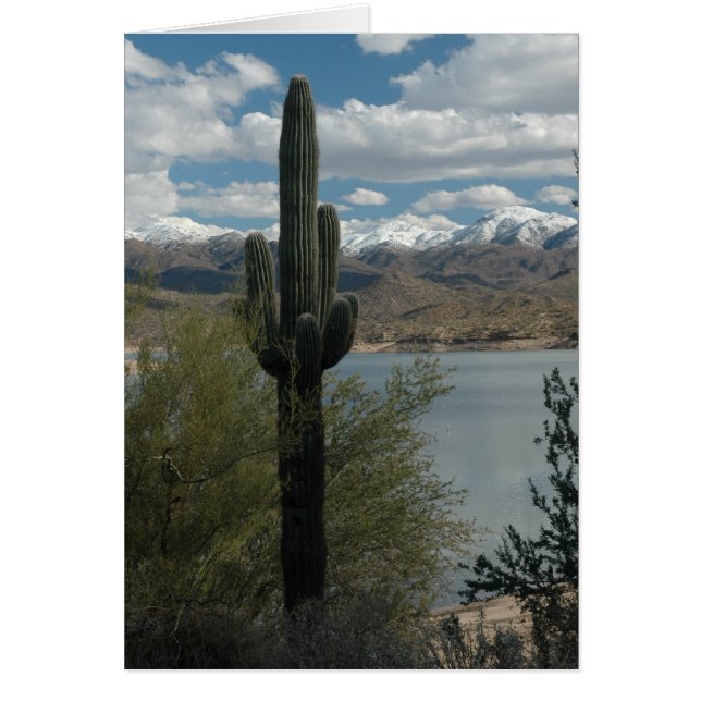 ピークの雪 (正面)