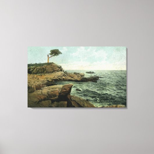 ピークスアイランドとペアツリーの表示 キャンバスプリント (正面)