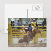 ピークスピークまたはバストロデオ ポストカード (正面/裏面)