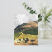 ピーク地区 ポストカード (スタンド正面)