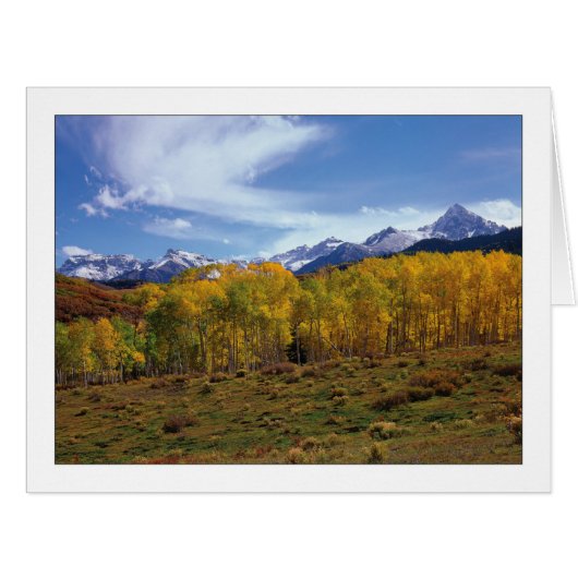 "ピーク眺め" (正面横)