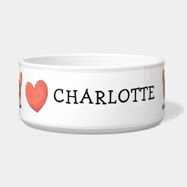 ピーク金ゴールドコルギカスタマイズテーマ ボウル (正面)