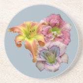 ピーク開花のコースター コースター (正面)