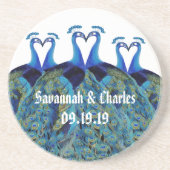 ピーコキスをするックス コースター (正面)