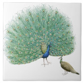 ピーコッかわいらしク タイル (正面)