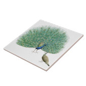 ピーコッかわいらしク タイル (側面)