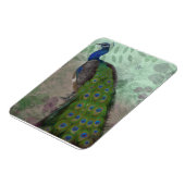 ピーコッかわいらしク マグネット (左側)