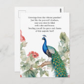 ピーコッエレガントク ポストカード (正面/裏面)