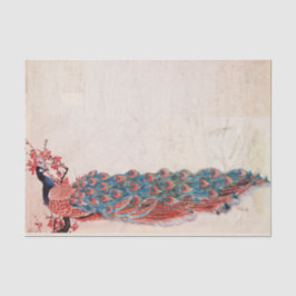 ピーコッエレガントク 薄葉紙