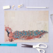 ピーコッエレガントク 薄葉紙 (クラフト)