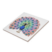 ピーコッカラフルク タイル (側面)