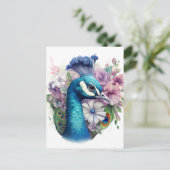 ピーコッカラフルク ポストカード (スタンド正面)