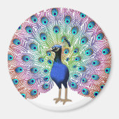 ピーコッカラフルク マグネット (正面)