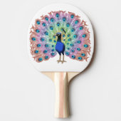 ピーコッカラフルク 卓球ラケット (正面)