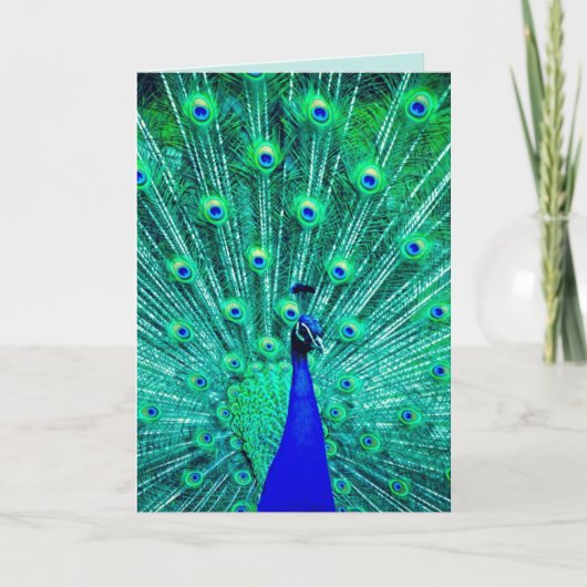 ピーコックおもしろい誕生日カード カード (正面)