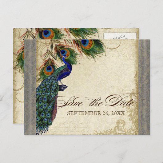 ピーコックと羽フォーマルはシルバーの日付を保存 案内ポストカード (正面/裏面)