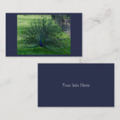 ピーコックの名刺 名刺 (正面/裏面)