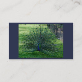 ピーコックの名刺 名刺