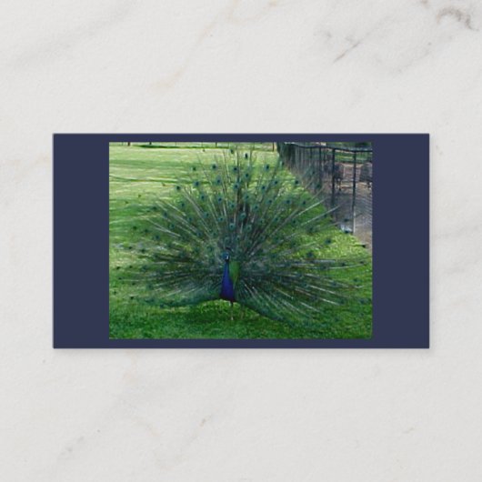 ピーコックの名刺 名刺 (正面)