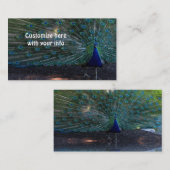 ピーコックの名刺 名刺 (正面/裏面)