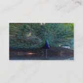 ピーコックの名刺 名刺 (裏面)