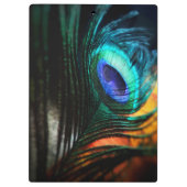 ピーコックの羽を近くへパーソナル クリップボード (裏面)