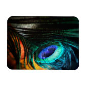 ピーコックの羽を近くへパーソナル マグネット (横)