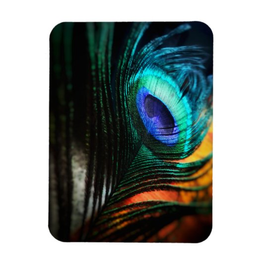 ピーコックの羽を近くへパーソナル マグネット (縦)