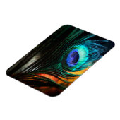 ピーコックの羽を近くへパーソナル マグネット (左側)