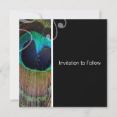 ピーコックの羽根を使ったSave The Dateの招待状 セーブザデート (裏面)