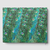 ピーコックの羽根、アブストラクト - モダン ゲストブック (裏面)