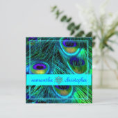 ピーコックの羽毛/アクア/ターコイズ, 「説明」を参照 招待状 (スタンド正面)