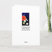 ピーコックの羽 カード (裏面)