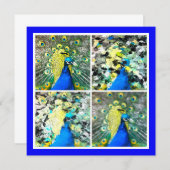 ピーコックアートフラットカード (正面/裏面)