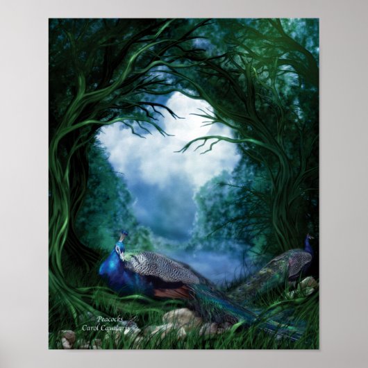 ピーコックアートポスター/プリント ポスター (正面)