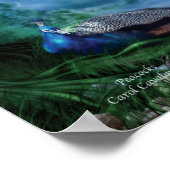 ピーコックアートポスター/プリント ポスター (角)