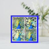 ピーコックアート磁気カード (スタンド正面)