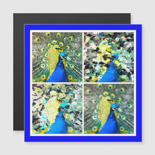 ピーコックアート磁気カード (正面/裏面)