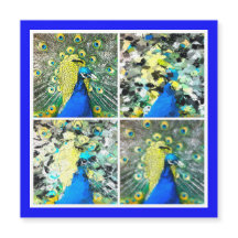 ピーコックアート磁気カード