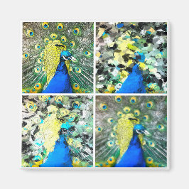 ピーコックアート マグネット