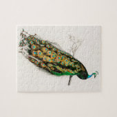 ピーコックイラストレーションヴィンテージアートプリント ジグソーパズル (横)